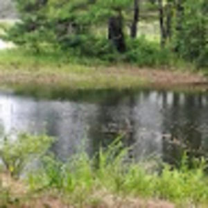 Meet your Posher, Mona